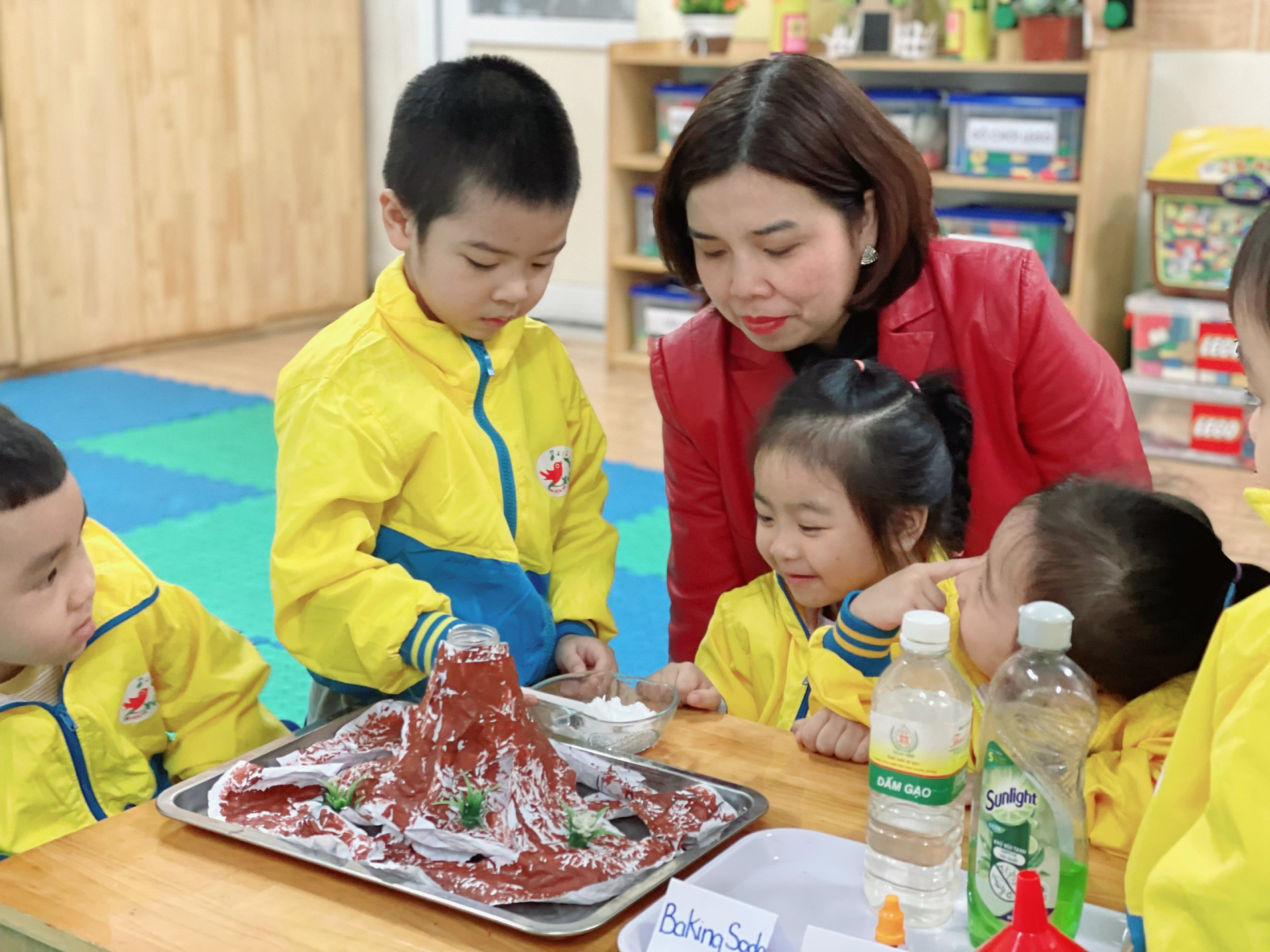 Dự thảo luật Nhà giáo quy định giáo viên mầm non được nghỉ hưu khi đủ 55 tuổi