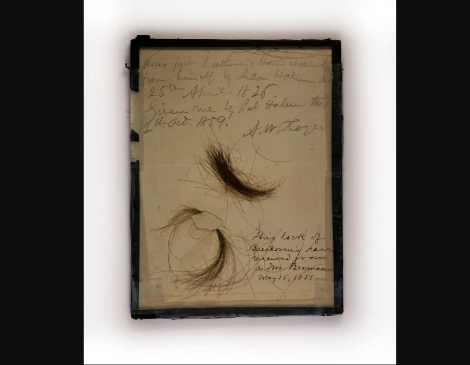 Giải mã nguyên nhân bí ẩn dẫn đến bệnh điếc của Beethoven- Ảnh 1. Mẫu tóc của Beethoven