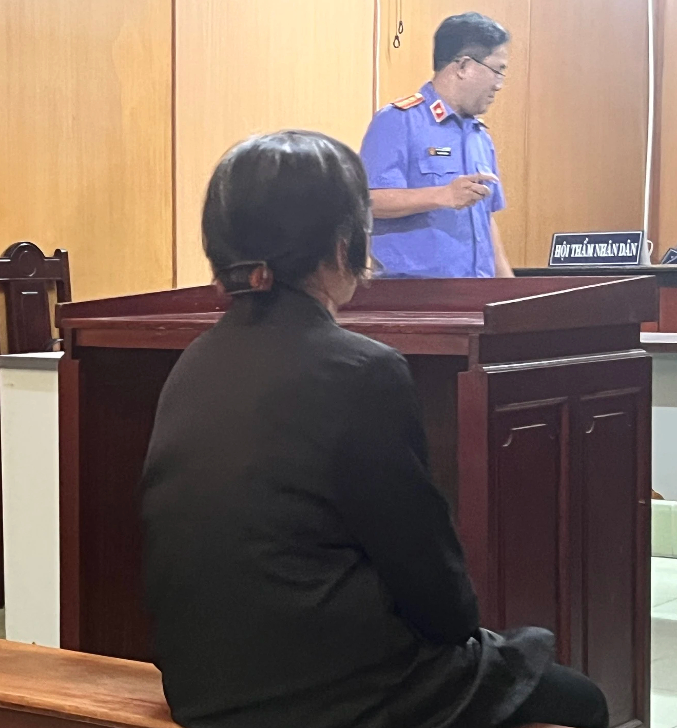 Người mẹ 63 tuổi lãnh 2 năm tù vì Người mẹ già 63 tuổi phải lãnh 2 năm tù vì thương con không đúng cách