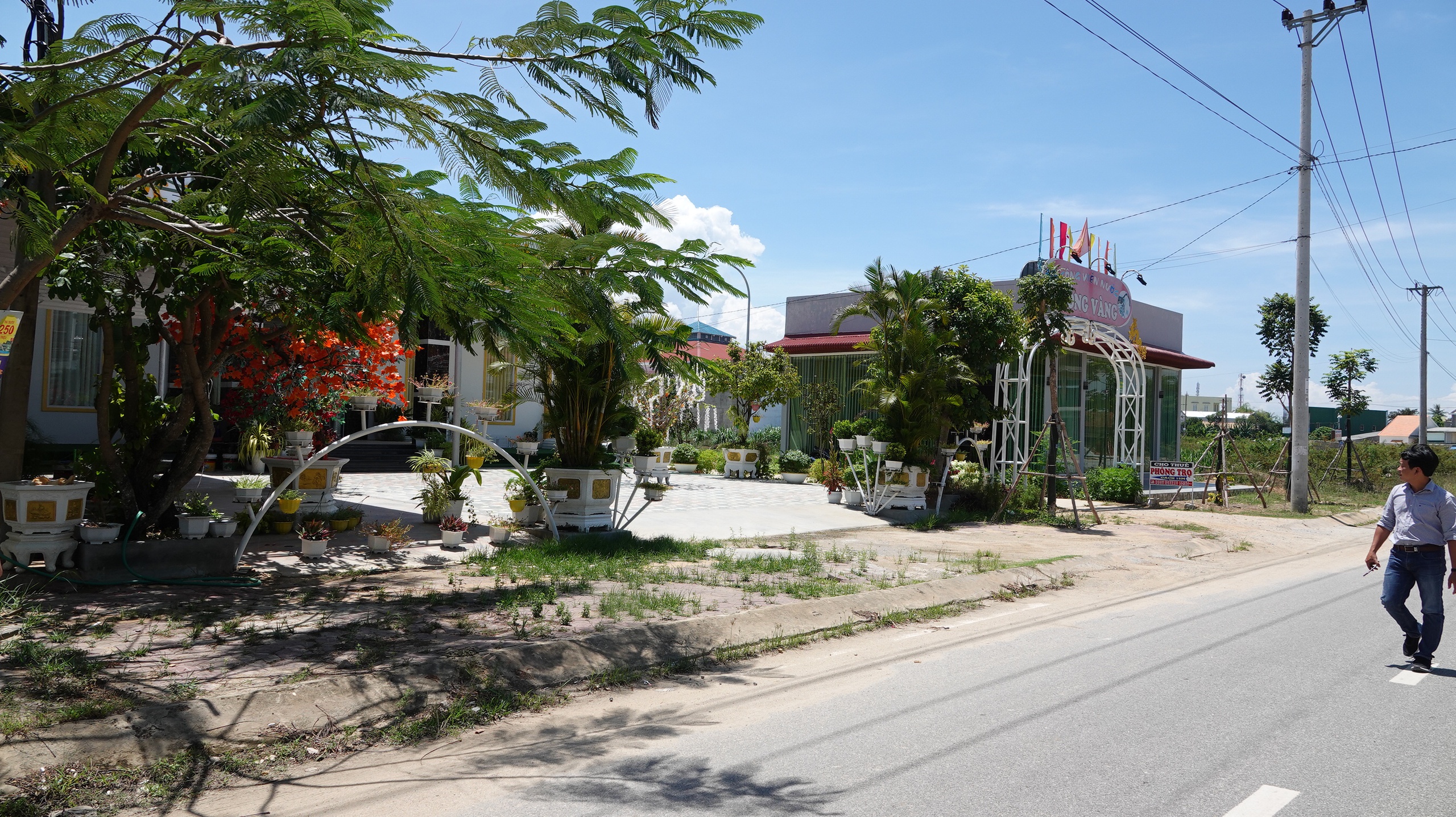 Một tuyến đường ở TX.Đức Phổ (Quảng Ngãi) năm 2020, năm triển khia dự án trồng cây xanh trên địa bàn