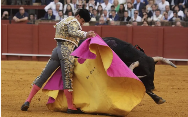 Tây Ban Nha bãi bỏ giải đấu bò quốc gia