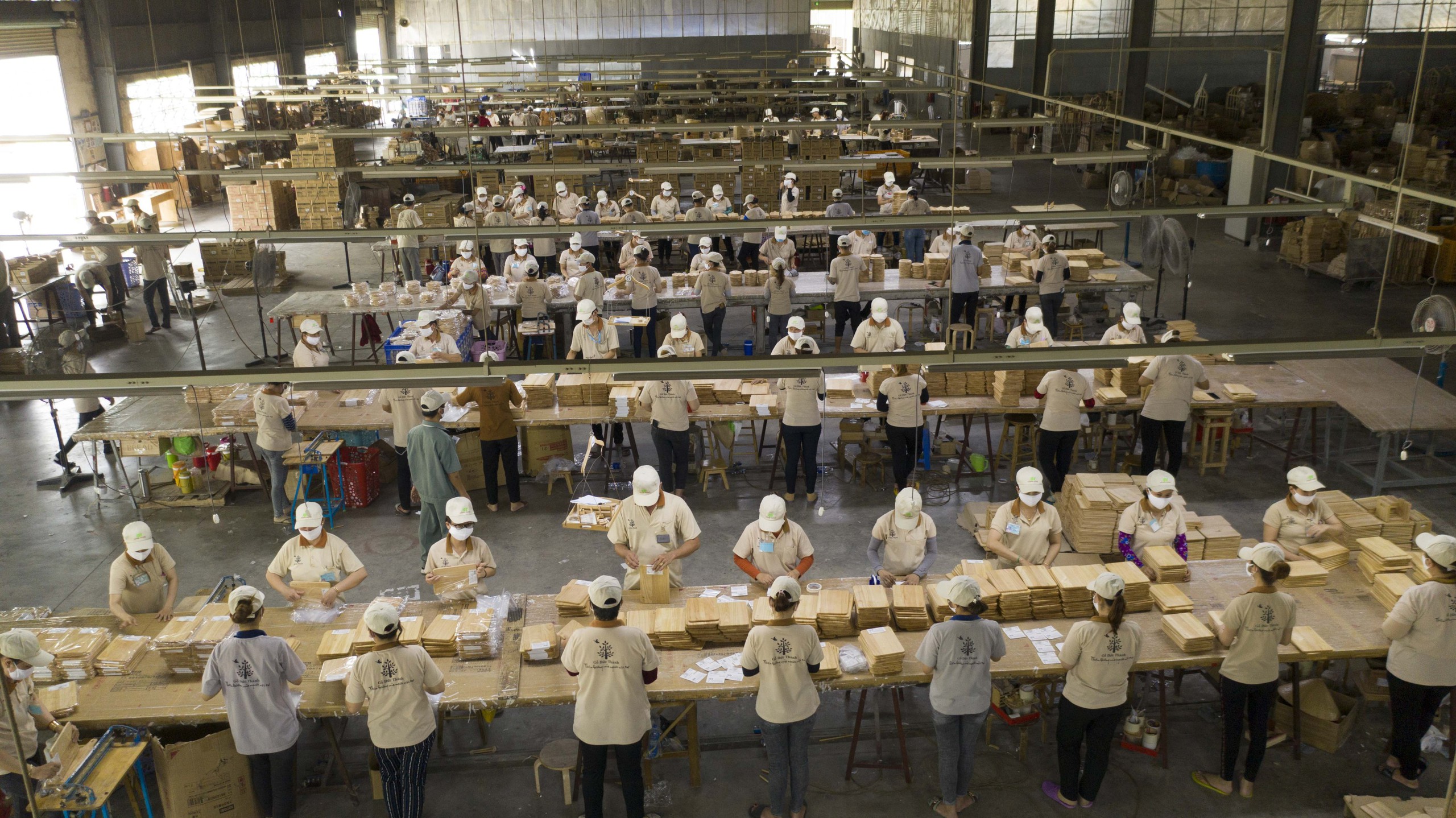 Xuất khẩu gỗ đột phá, mang về hơn 6 tỉ đô - Ảnh 1. Xuất khẩu gỗ đột phá, mang về hơn 6 tỉ đô - Ảnh 1.