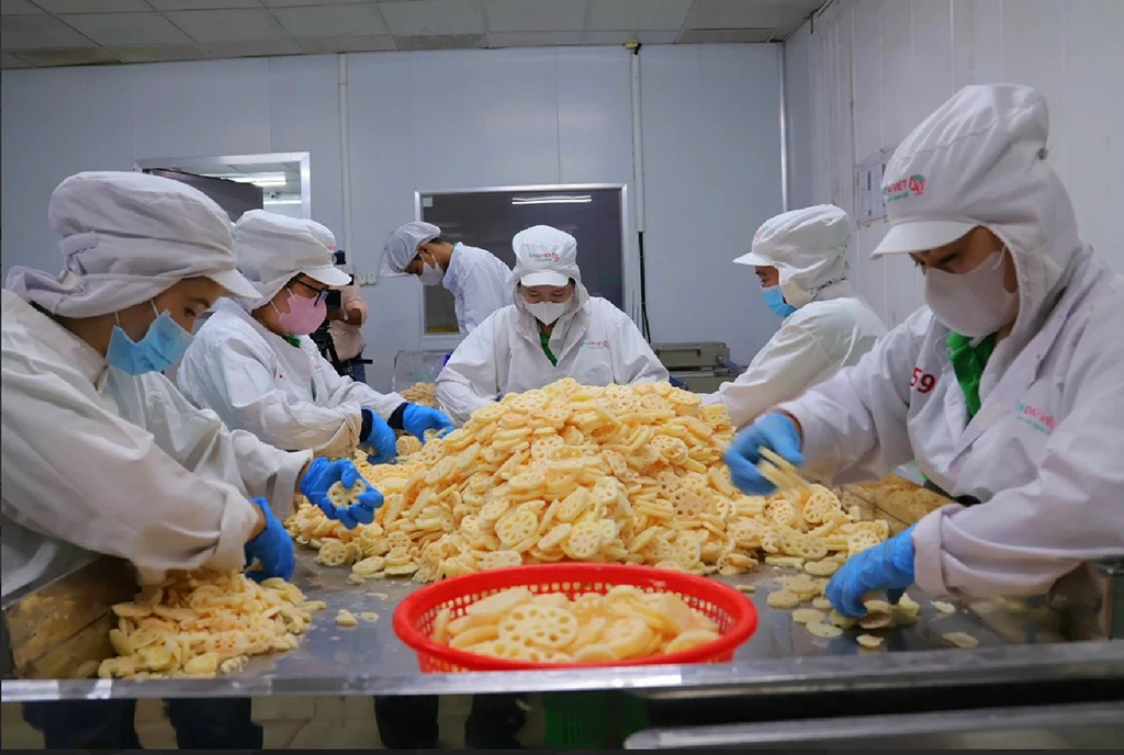 Củ sen xuất khẩu, mặt hàng mới trong nhóm hàng rau quả