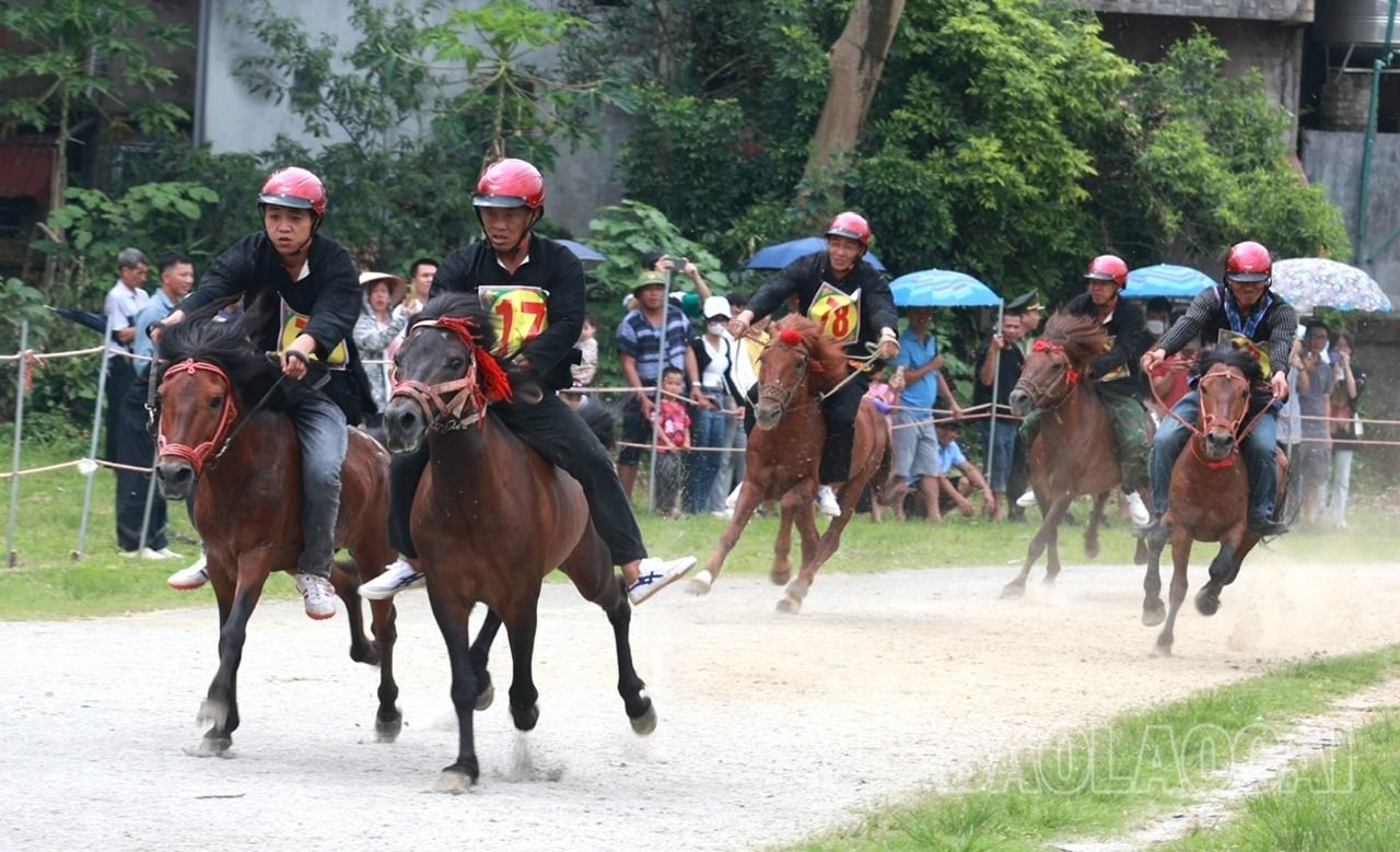 Khai màn Giải đua ngựa truyền thống huyện Bắc Hà, Lào Cai
