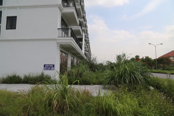 Cảnh hoang vắng loạt dự án bất động sản bên bờ vịnh Hạ Long