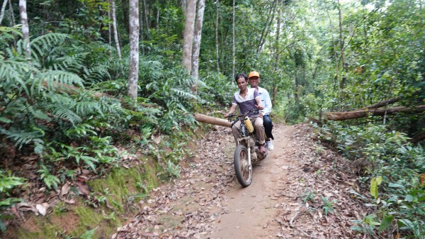 Chủ tịch tỉnh Bình Định chỉ đạo làm đường, cấp điện cho thôn biệt lập giữa rừng