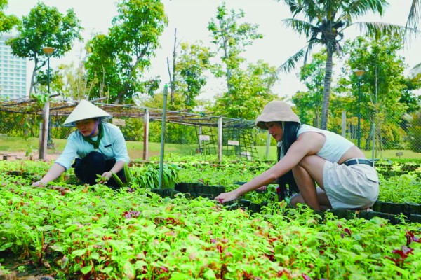 Du lịch xanh tại quần thể du lịch quốc tế Furama - Ariyana Đà Nẵng