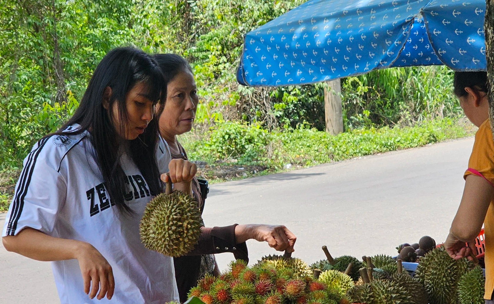 Cần nghiên cứu, nhân rộng giống sầu riêng bản địa Chuồng Bò, Chín Hóa- Ảnh 2. Cần nghiên cứu, nhân rộng giống sầu riêng bản địa Chuồng Bò, Chín Hóa- Ảnh 2.