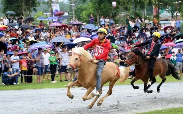 Khai màn Giải đua ngựa truyền thống huyện Bắc Hà, Lào Cai
