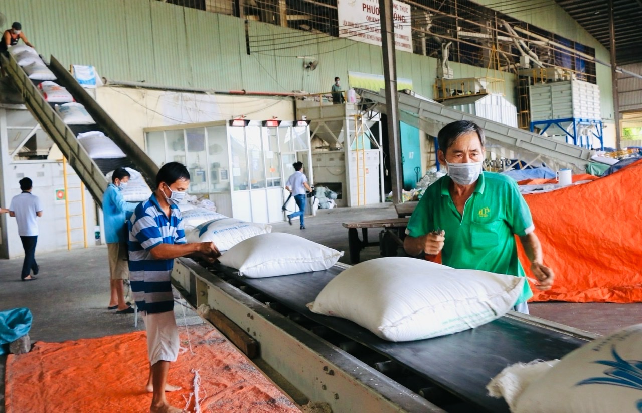 Philippines giảm mạnh thuế nhập khẩu gạo, Việt Nam tăng cơ hội xuất khẩu- Ảnh 1.