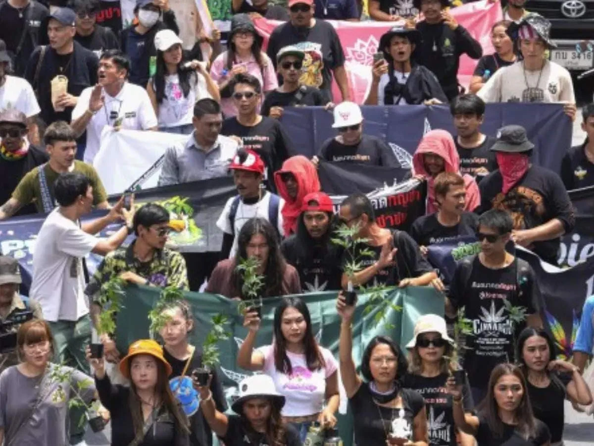 Dân Thái biểu tình tuyệt thực để ủng hộ cần sa