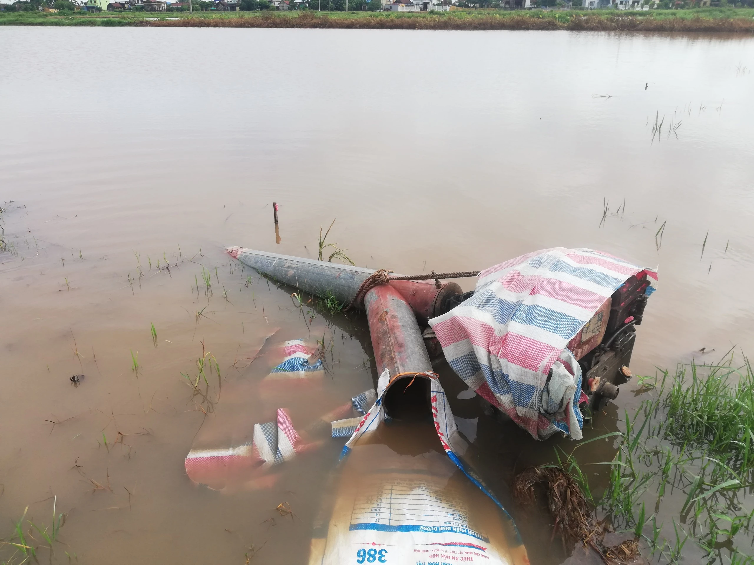 Mưa lớn không dứt, nông dân Nam Định cứu lúa bất thành