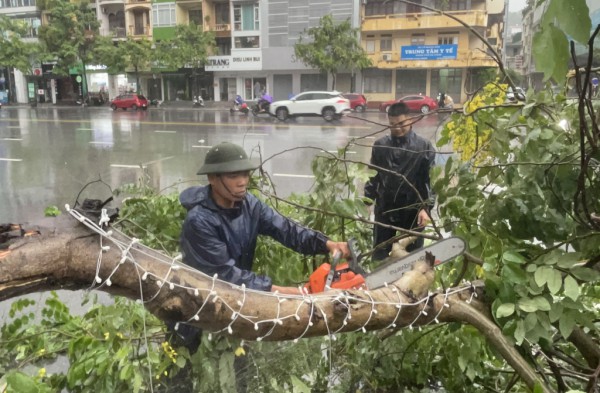 Bão số 2 quật đổ hàng trăm cây xanh tại Quảng Ninh