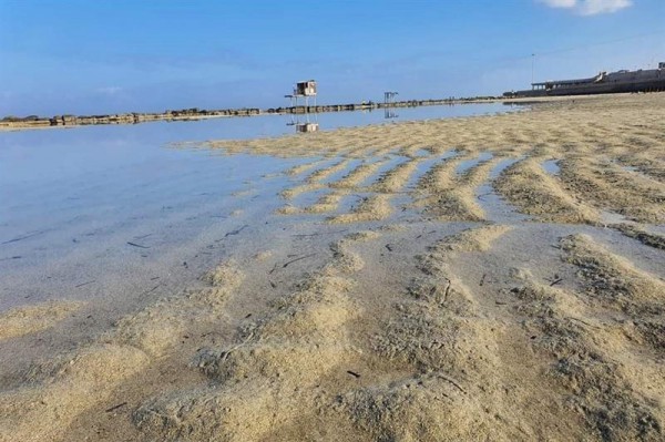 Ai Cập cảnh giác trước hiện tượng mực nước biển Địa Trung Hải giảm đáng kể