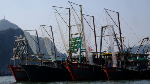 Bão số 2: Gần 6.000 tàu, thuyền trên biển Quảng Ninh đã về nơi tránh trú