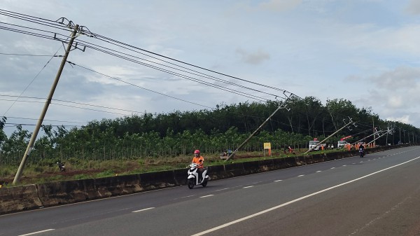 Bình Phước: Lốc xoáy làm nhiều trụ điện dọc đường ĐT 741 bị ngã đổ