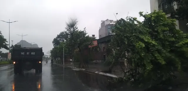 Bão số 2 đổ bộ Quảng Ninh, gió lớn làm đổ nhiều cây - Ảnh 4.