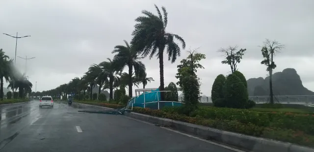 Bão số 2 đổ bộ Quảng Ninh, gió lớn làm đổ nhiều cây - Ảnh 1.
