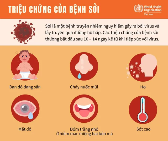 Infographic: Triệu chứng của bệnh sởi - Ảnh 1.