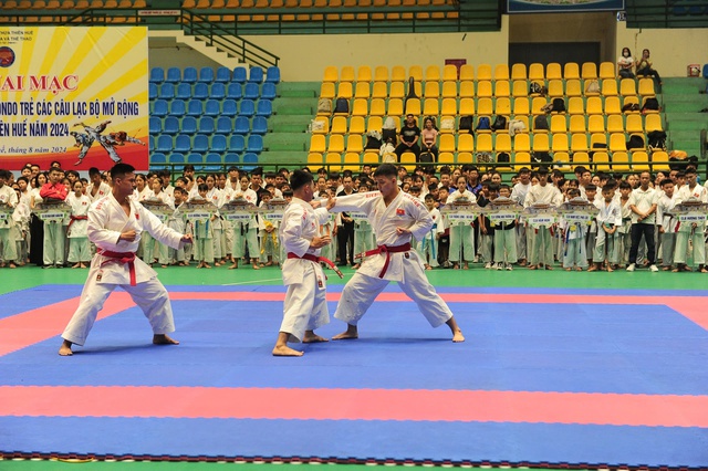 Hơn 500 VĐV tham dự Giải Vô địch Karate và Taekwondo trẻ các CLB tỉnh Thừa Thiên Huế - Ảnh 3.