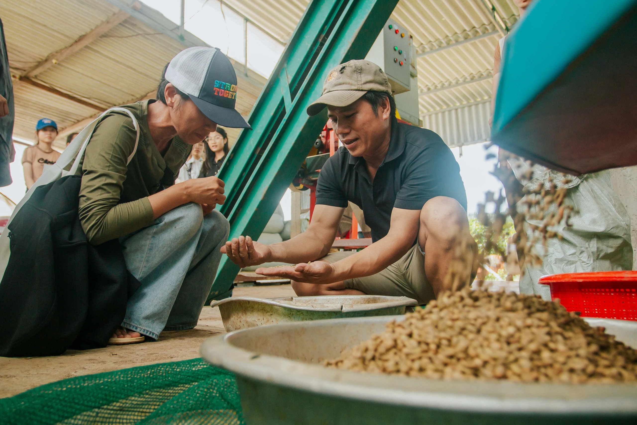 Vượt trăm cây số lên vùng núi Quảng Trị cùng nông dân trải nghiệm trồng cà phê