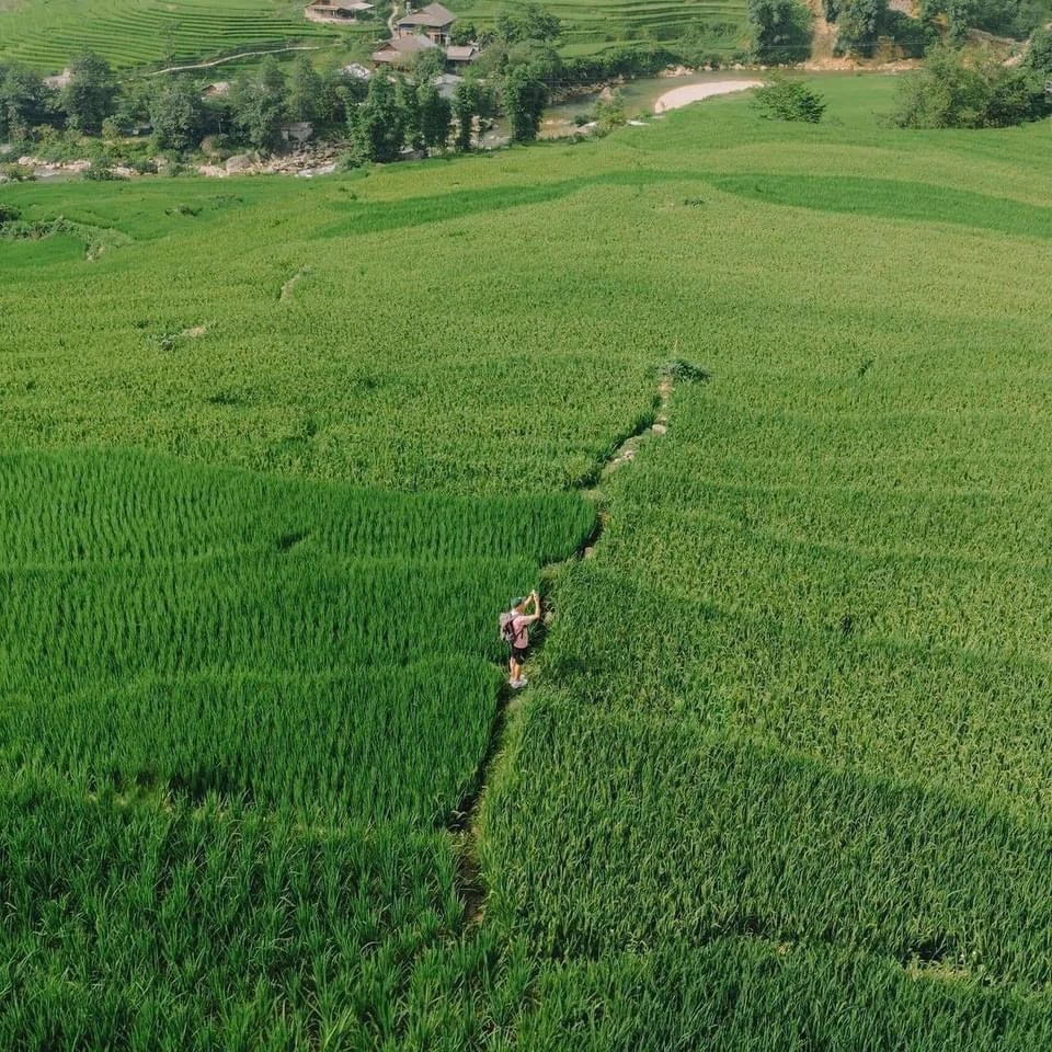 Sa Pa mùa lúa xanh - thiên đường nơi hạ giới