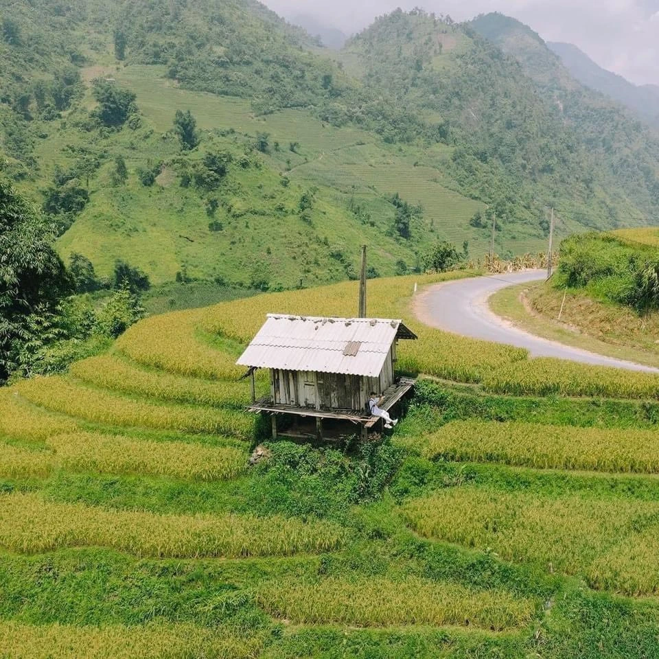 Sa Pa mùa lúa xanh - thiên đường nơi hạ giới