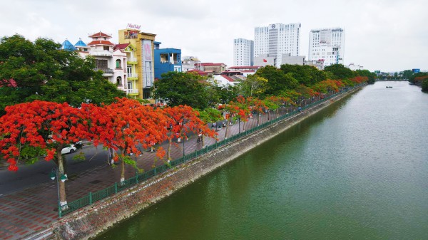 Thành phố ở Việt Nam: Hải Phòng 'hoa phượng ném giữa trời xanh từng vốc lửa'