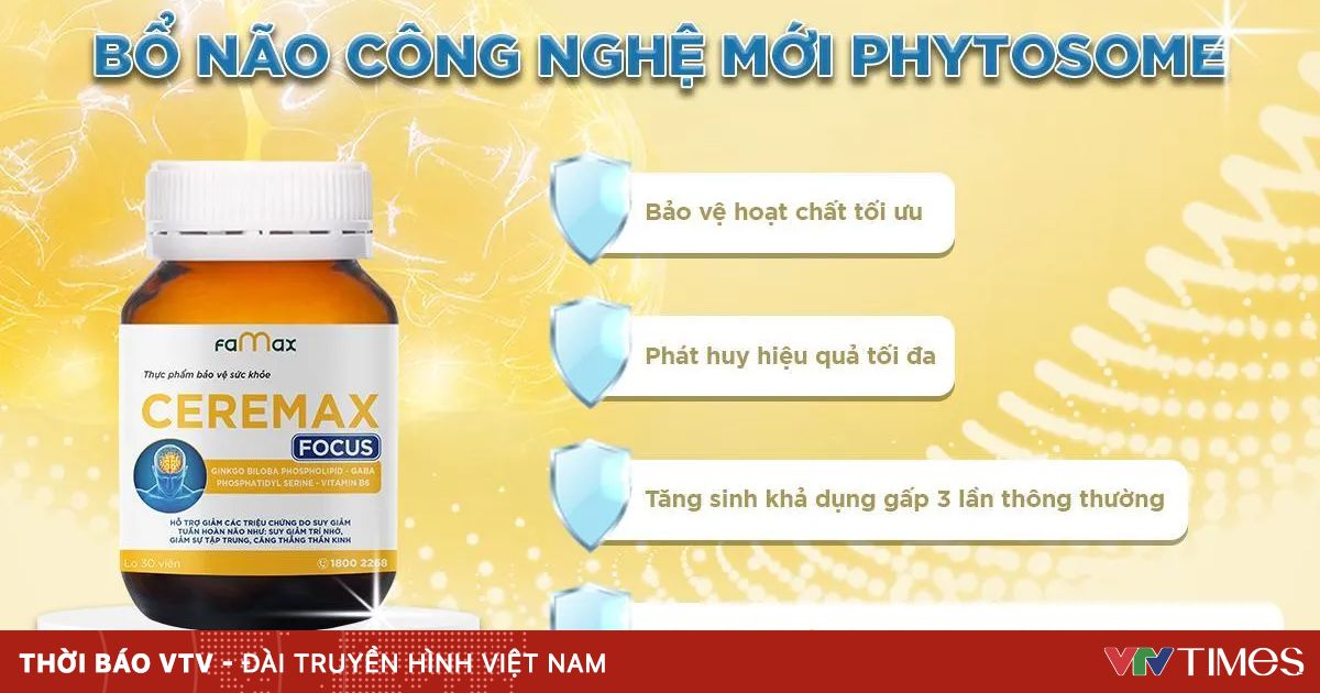 Ceremax Focus – Hỗ trợ điều trị đau đầu và suy giảm trí nhớ