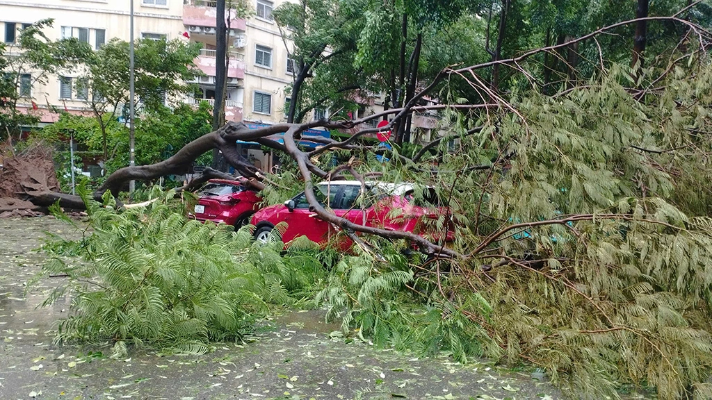 Quảng Ninh, Hải Phòng tan hoang vì bão số 3