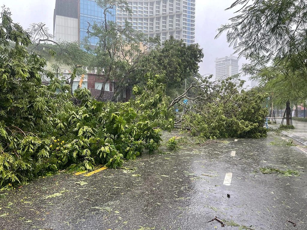 Quảng Ninh, Hải Phòng tan hoang vì bão số 3