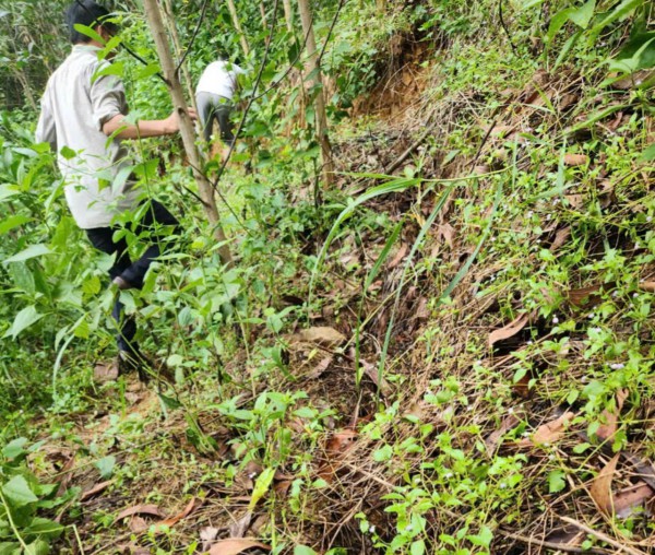 Sạt lở núi đe dọa trường mầm non và nhiều nhà dân ở Quảng Ngãi