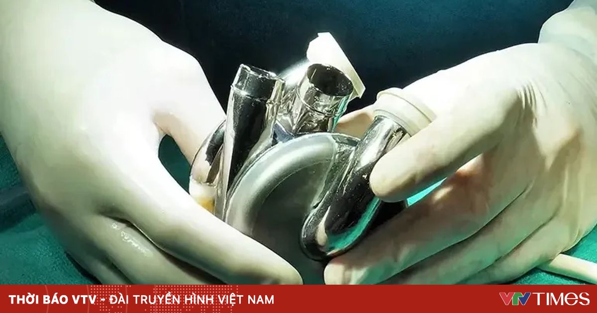 Ngày Tim mạch thế giới năm 2024: “Ổn định huyết áp để bảo vệ trái tim”