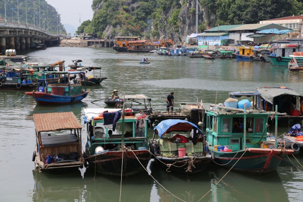 Siêu bão số 3 đổ bộ vào miền Bắc: Các địa phương khẩn trương ứng phó