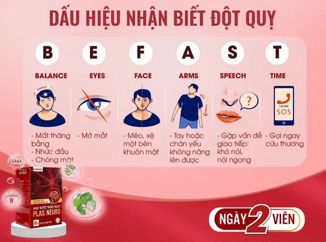 Hoạt huyết thông mạch Plas Neuro: Hỗ trợ phục hồi tai biến mạch máu não do tắc mạch - Ảnh 1.