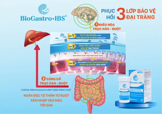 Cải thiện triệu chứng hội chứng ruột kích thích, bệnh tiêu hóa khi uống bia rượu - Ảnh 3.