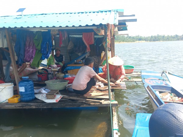 Cá lăng chết hàng loạt tại hồ thủy lợi Ia Mơr gây thiệt hại lớn