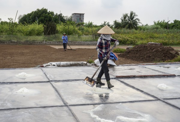 Làm muối trong vườn nhà