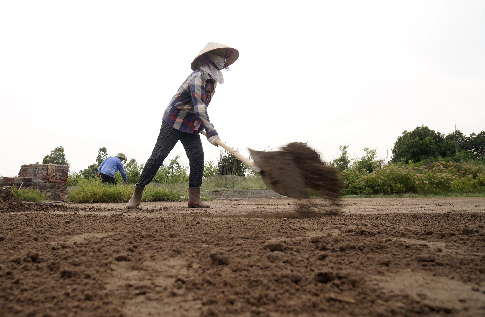 Làm muối trong vườn nhà