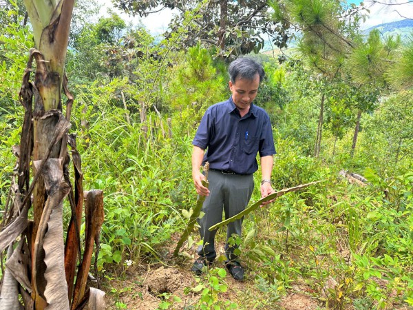 Vụ đốt đuốc trồng cây trong đêm... chờ đền bù: Người dân đã tự nguyện phá bỏ