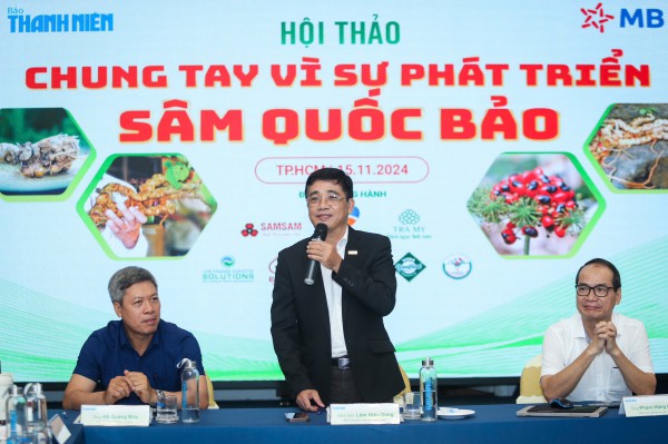 Sâm quốc bảo Việt Nam: Để sâm Ngọc Linh, Lai Châu, Lang Biang giá trị vững bền