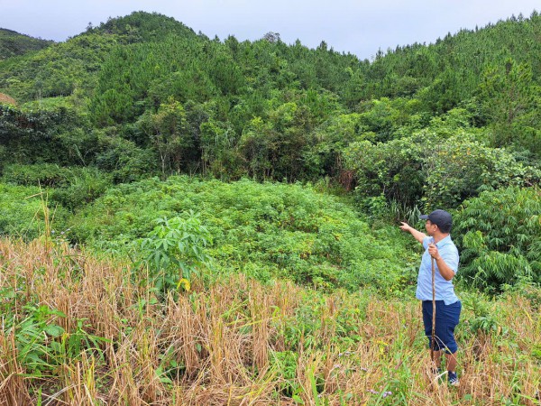 Kon Tum lại 'nóng' chuyện phá rừng làm nương rẫy