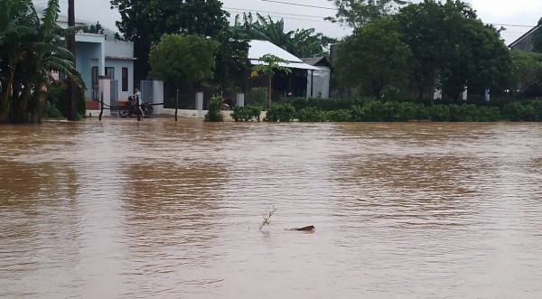 Mưa lớn, Quảng Nam cảnh báo nguy cơ lũ quét