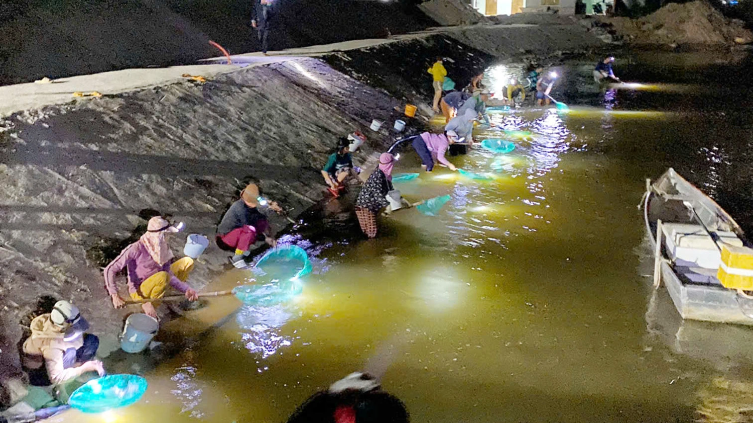Bình Định: Người dân đổ xô vớt chình giống trên sông La Tinh Bình Định: Người dân đổ xô vớt chình giống trên sông La Tinh