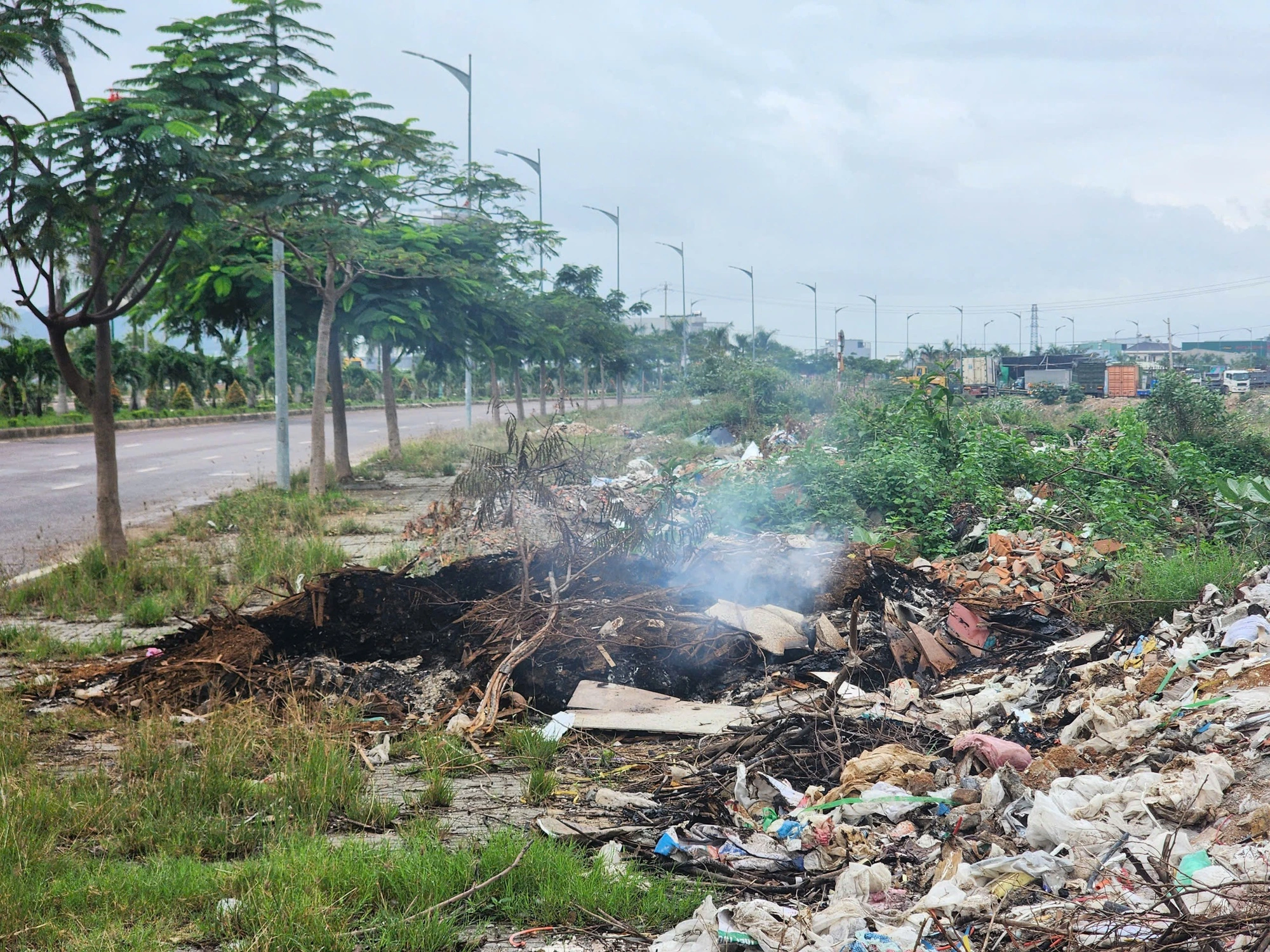 Bình Định: Rác thải bủa vây đường Long Vân - Long Mỹ Bình Định: Rác thải bủa vây đường Long Vân - Long Mỹ