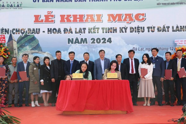 Thưởng thức buffet rau củ miễn phí tại phiên chợ rau hoa Đà Lạt Thưởng thức buffet rau củ miễn phí tại phiên chợ rau hoa Đà Lạt