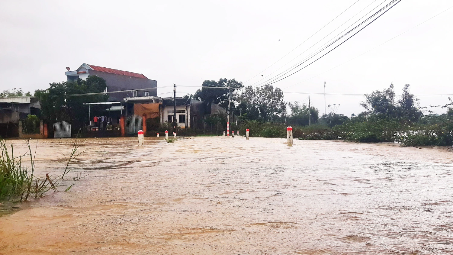 Mưa lớn gây ngập úng hàng ngàn ha lúa vừa gieo sạ ở Bình Định