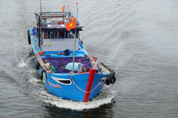 Vì sao nhiều tàu cá mất kết nối hệ thống giám sát chống khai thác IUU? Vì sao nhiều tàu cá mất kết nối hệ thống giám sát chống khai thác IUU?