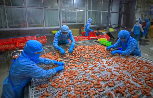 Trà Vinh: Thưởng tết cao nhất 280 triệu đồng Trà Vinh: Thưởng tết cao nhất 280 triệu đồng