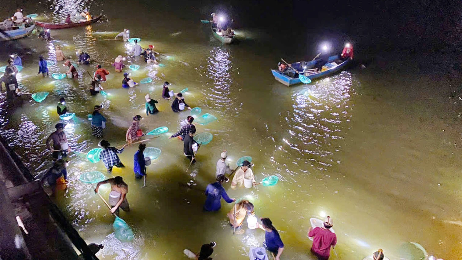 Bình Định: Người dân đổ xô vớt chình giống trên sông La Tinh Bình Định: Người dân đổ xô vớt chình giống trên sông La Tinh